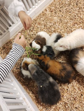 アニタッチ 東京ドームシティに投稿された画像（2025/11/15）