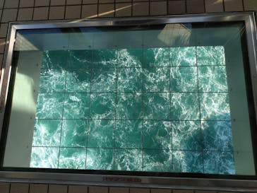 徳島県立 渦の道に投稿された画像（2025/11/15）