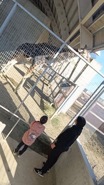 霞ケ浦 どうぶつとみんなのいえに投稿された画像（2025/11/16）