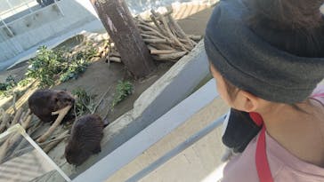 霞ケ浦 どうぶつとみんなのいえに投稿された画像（2025/11/16）