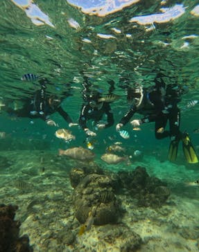 武藤潜水に投稿された画像（2025/11/16）