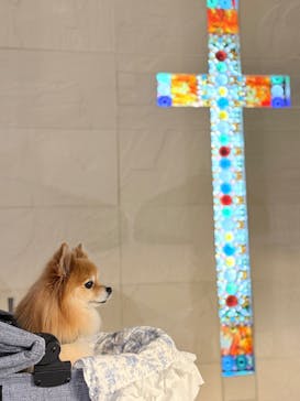 ニューヨークランプミュージアム＆フラワーガーデンに投稿された画像（2025/11/16）