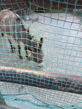 宇都宮動物園に投稿された画像（2025/11/16）