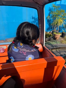 浅草花やしきに投稿された画像（2025/11/16）