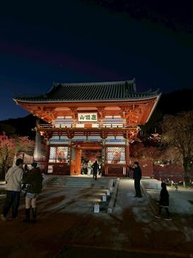 勝尾寺に投稿された画像（2025/11/16）