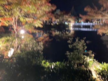 国営昭和記念公園 秋の夜散歩に投稿された画像（2025/11/16）