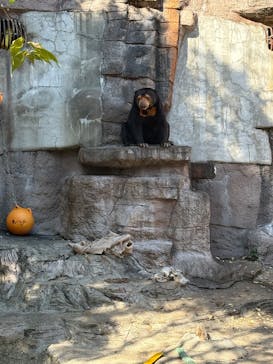 天王寺動物園に投稿された画像（2025/11/16）