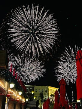 ハウステンボスに投稿された画像（2025/11/16）