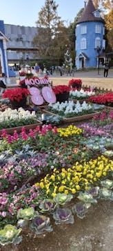 ムーミンバレーパークに投稿された画像（2025/11/16）