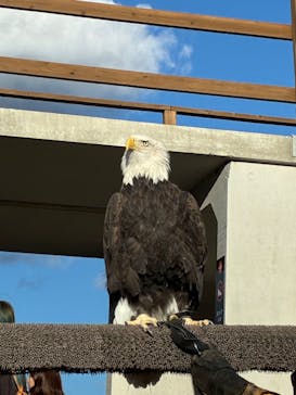 那須どうぶつ王国に投稿された画像（2025/11/16）