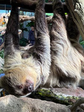 那須どうぶつ王国に投稿された画像（2025/11/16）