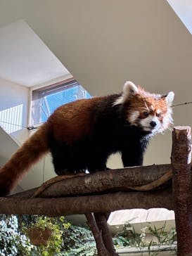 那須どうぶつ王国に投稿された画像（2025/11/16）