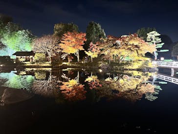 国営昭和記念公園 秋の夜散歩に投稿された画像（2025/11/16）