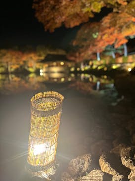 国営昭和記念公園 秋の夜散歩に投稿された画像（2025/11/16）