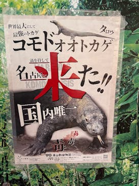 名古屋市東山動植物園に投稿された画像（2025/11/16）