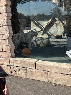 東武動物公園に投稿された画像（2025/11/16）