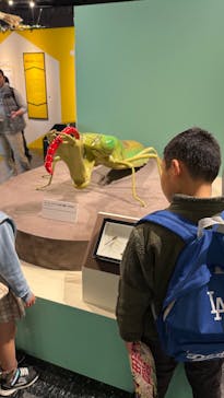 特別展「昆虫MANIAC」（名古屋会場）に投稿された画像（2025/11/16）