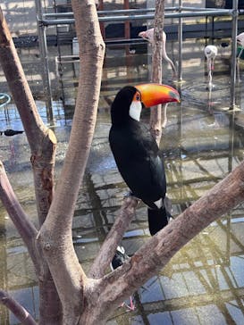 掛川花鳥園に投稿された画像（2025/11/16）