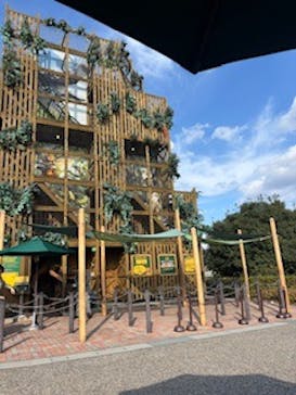 モビリティリゾートもてぎに投稿された画像（2025/11/16）