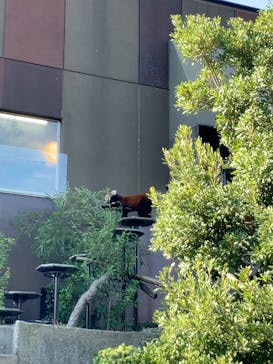 名古屋市東山動植物園に投稿された画像（2025/11/16）