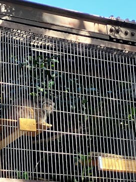 名古屋市東山動植物園に投稿された画像（2025/11/16）