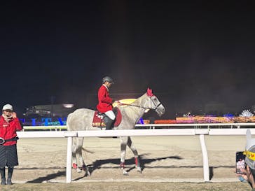 東京メガイルミに投稿された画像（2025/11/16）