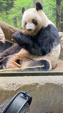 恩賜上野動物園に投稿された画像（2025/11/16）