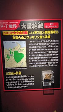 特別展「大絶滅展―生命史のビッグファイブ」に投稿された画像（2025/11/16）