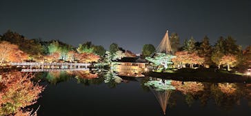 国営昭和記念公園 秋の夜散歩に投稿された画像（2025/11/16）