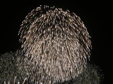 ハウステンボスに投稿された画像（2025/11/16）