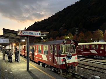 大井川鐵道株式会社に投稿された画像（2025/11/16）