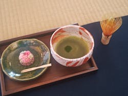 ぎふワールド・ローズガーデンに投稿された画像（2025/11/16）