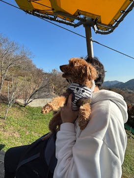 さがみ湖MORI MORIに投稿された画像（2025/11/16）