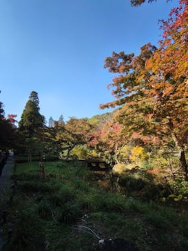 名古屋市東山動植物園に投稿された画像（2025/11/16）