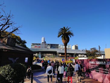 天王寺動物園に投稿された画像（2025/11/16）