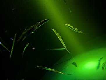 サンシャイン水族館に投稿された画像（2025/11/16）