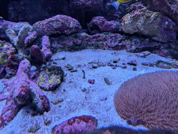 サンシャイン水族館に投稿された画像（2025/11/16）