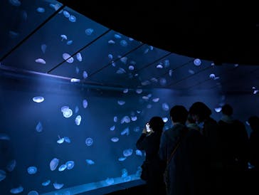 サンシャイン水族館に投稿された画像（2025/11/16）