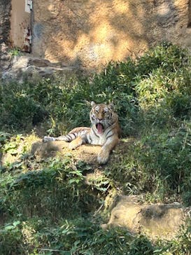 東京動物園協会_多摩動物公園に投稿された画像（2025/11/16）