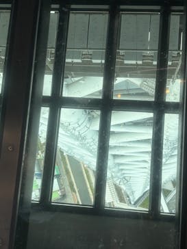 東京スカイツリーに投稿された画像（2025/11/16）