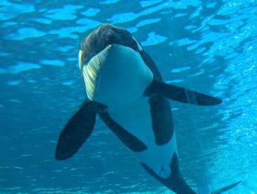 名古屋港水族館に投稿された画像（2025/11/16）