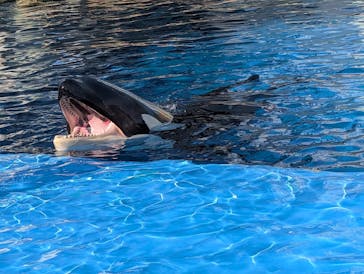 名古屋港水族館に投稿された画像（2025/11/16）