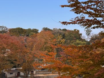 多摩動物公園に投稿された画像（2025/11/16）