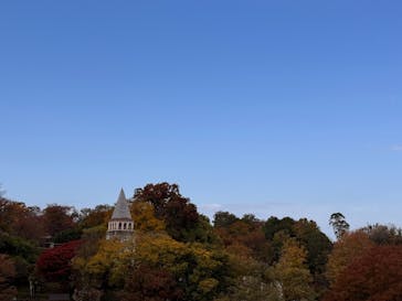 多摩動物公園に投稿された画像（2025/11/16）