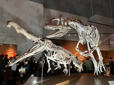 特別展「大絶滅展―生命史のビッグファイブ」に投稿された画像（2025/11/16）