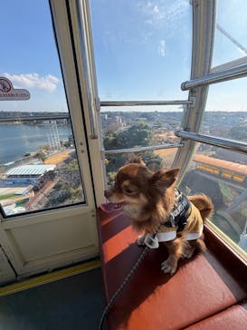 浜名湖パルパルに投稿された画像（2025/11/16）