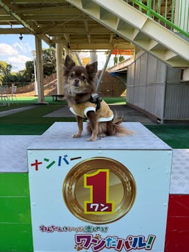 浜名湖パルパルに投稿された画像（2025/11/16）