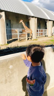 霞ケ浦 どうぶつとみんなのいえに投稿された画像（2025/11/16）