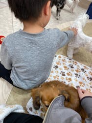 いぬカフェRio 富士見店に投稿された画像（2025/11/16）