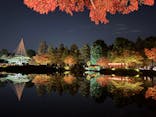 国営昭和記念公園 秋の夜散歩に投稿された画像（2025/11/16）